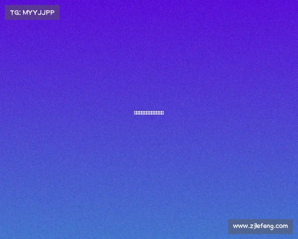 布力般流浪赛事—布力现状